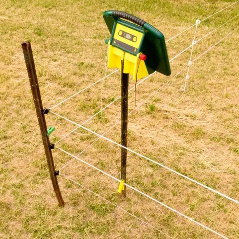 SEGUIDORES DE PASTOR ELÉCTRICO